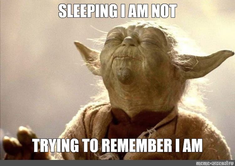 Yoda sleeping meme